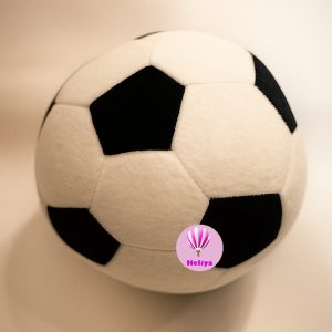 توپ فوتبال پولیشی
